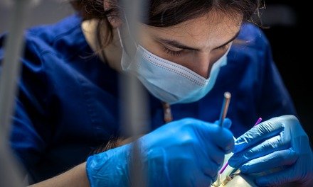 Cirurgias e especialidades odontológicas na Click Dente